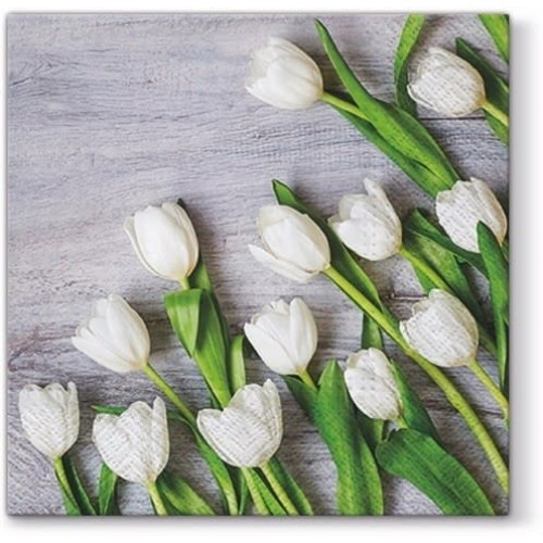 20 Serviettes White tulips - 33x33cm 3 plis