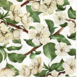 20 Serviettes Apple blossom Blanc - 33x33cm 3 plis